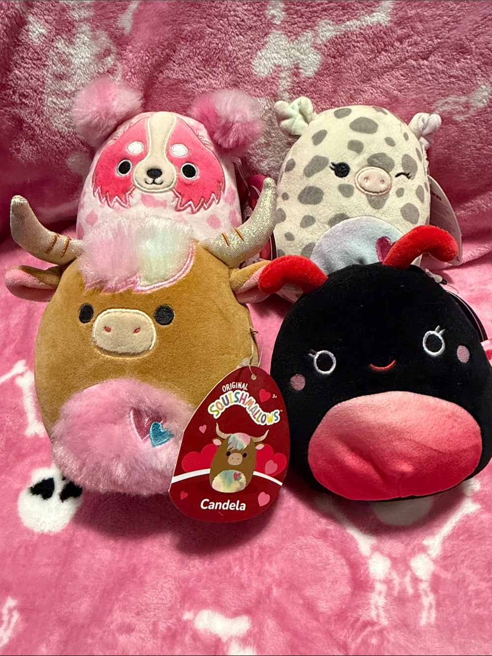 Squishmallow Trio
